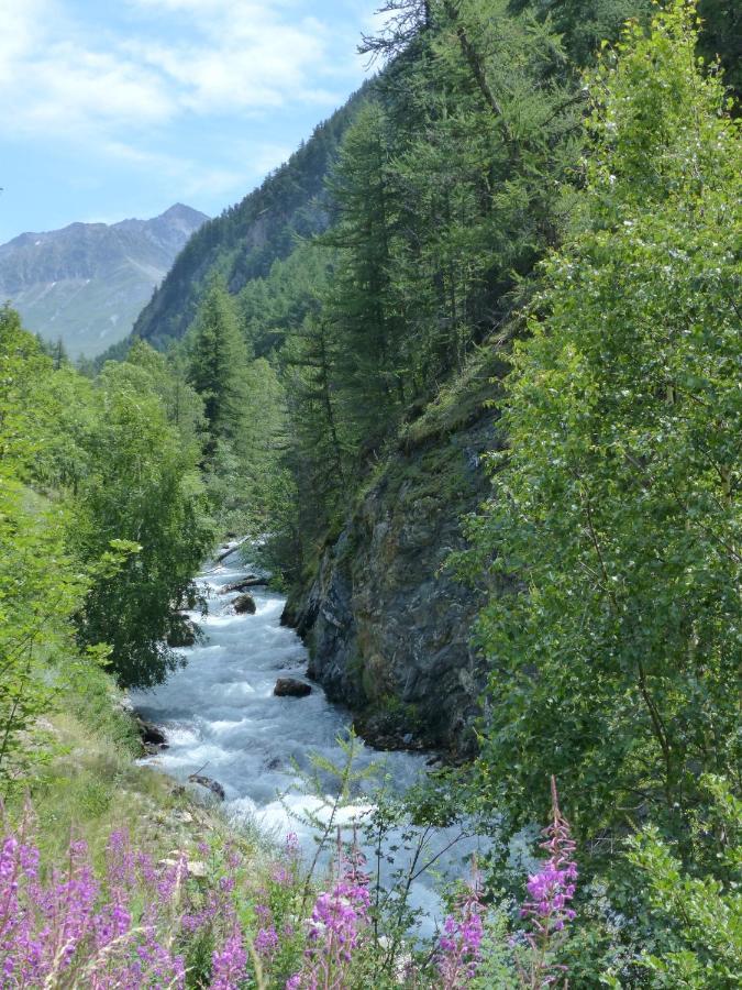 Apartament Tranquillite Et Authenticite Au Pied Des Ecrins Villar-dʼArène Zewnętrze zdjęcie